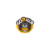 Coin Images.Coingecko.Com