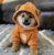 Coin Images.Coingecko.Com